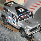 raid-2005-barcelona dakar-351-bowler wild cat