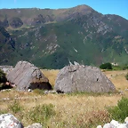 DSCN2628