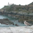 DSCN2851