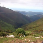 DSCN2571