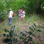 DSCN2744