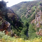 DSCN2507