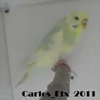 la pa 19-2-11