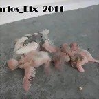 todos 19-2-11  (2)