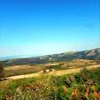 DSCN7732