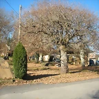 DSCN2169