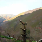 DSCN8590