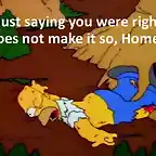 Homer Injuries
