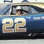 Dodge Charger Bobby Allison - 1