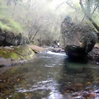 DSCN7986