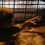 Zoo de Barcelona 28-01-11 014