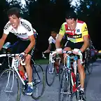 Perico-Tour1987-Roche-Alcal?