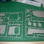 DSCN3052