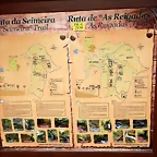 DSCN0825