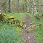 DSCN4167