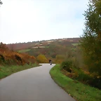 DSCN5908