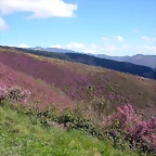 DSCN9005