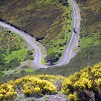 DSCN8061