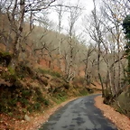 DSCN2115