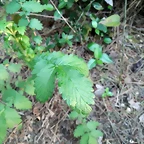 IMG_20200518_203621