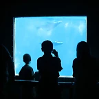 Zoo de Barcelona 12-06-11 058