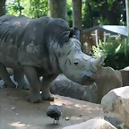 Zoo de Barcelona 12-06-11 048