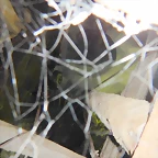 DSCN1596