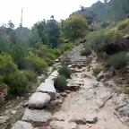 DSCN1897