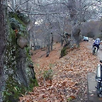 DSCN9678