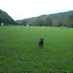 DSCN5379