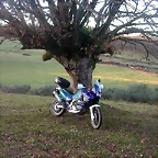 DSCN5822