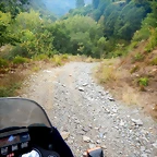 DSCN7953
