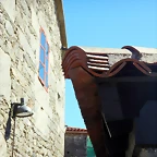DSCN9549