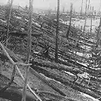 Tunguska