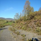 DSCN9073