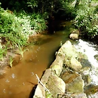 DSCN4546