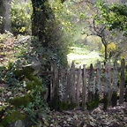 DSCN0521