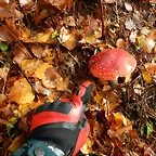 DSCN2672