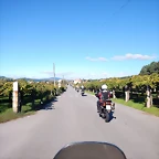 DSCN0262