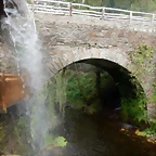 DSCN3505