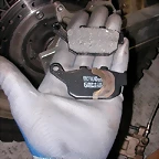 DSCN1579