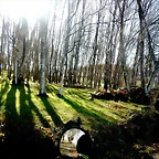 DSCN2532