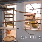 CIMG0595
