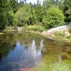 DSCN5343