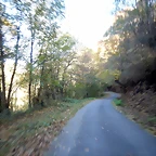 DSCN8894