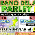 BANNER PARLEY 3111