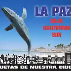 LA PAZ BAJA CALIFORNIA SUR, BALLENA GRIS