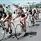 Merckx Kelly