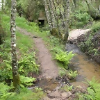 DSCN4150