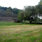 DSCN5277